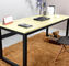 Moda tasarımı basit çelik ofis mobilyaları özel çok renkli masa